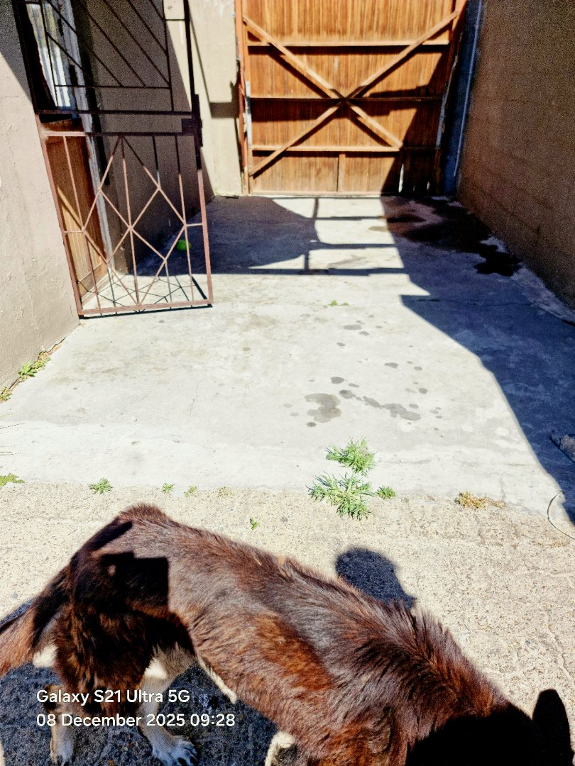 2 Bedroom Property for Sale in Tuscany Glen Western Cape